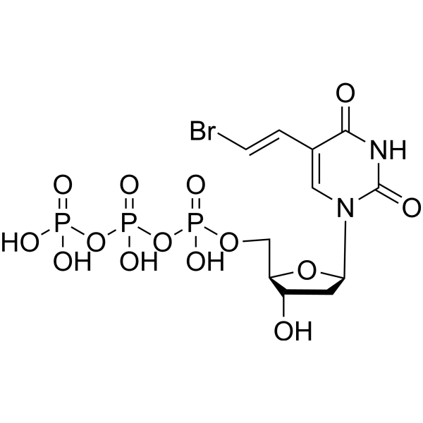 BVDU 5′-Triphosphate ((E)-5-(2-Bromovinyl)-dUTP; BVdUTP) 77222-61-8
